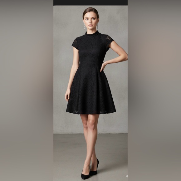 Dresses & Skirts - ZARA‎ NWOT Elegant Black Women's Dress
